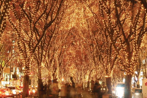 Get off the bus at
①19:30 Nishikicho Park Christmas Market Bus Stop
②20:20 Sendai Station West Gate Bus Stop No.63
③21:20 Sendai Station West Gate Bus Stop No.63