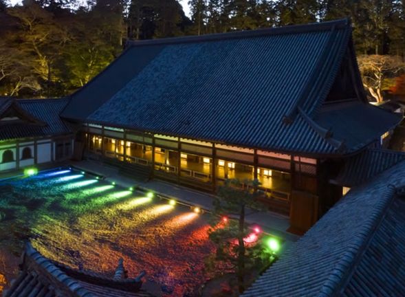 瑞巖寺秋季夜間參拜/點燈活動(停留約 1 小時)