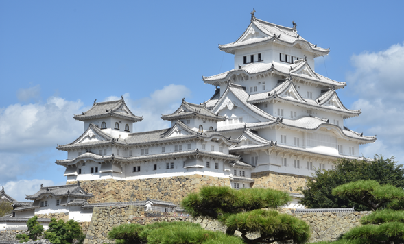 Himeji Castle(90min)