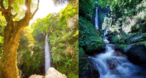 Yoro Falls
(Full of negative ions! Enjoy the 30m waterfall/approx. 70 minutes)