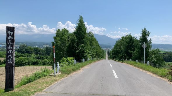 Panorama Road Ehana (View from bus)