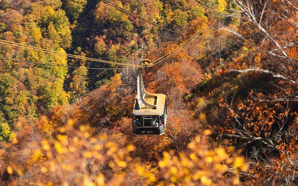 Walk around Tashiro Plateau (Approx. 50 min)