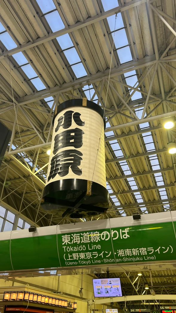 Arrived at Odawara Station, parted ways with the bus tour guide and met up with the local guide.