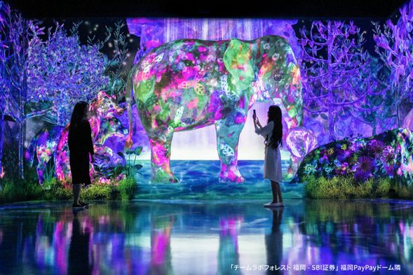 Arrival at EZO・FUKUOKA
Admission to TeamLab Forest Fukuoka