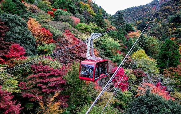 Board Rokko–Arima Ropeway: About 12 minutes aerial ride while viewing autumn leaves.