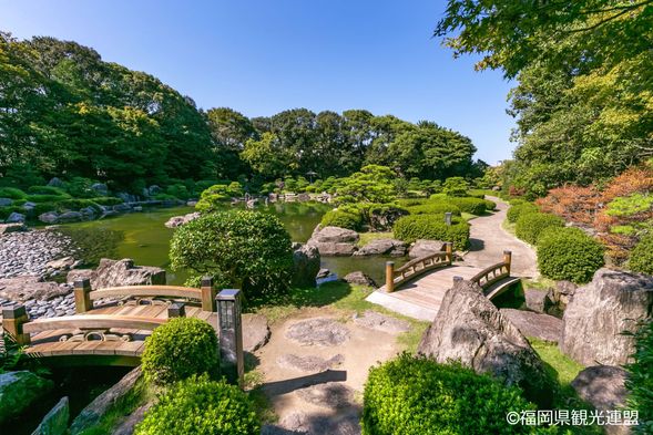 11:00 AM / 3:00 PM - Ohori Park Japanese Garden (30 minutes)