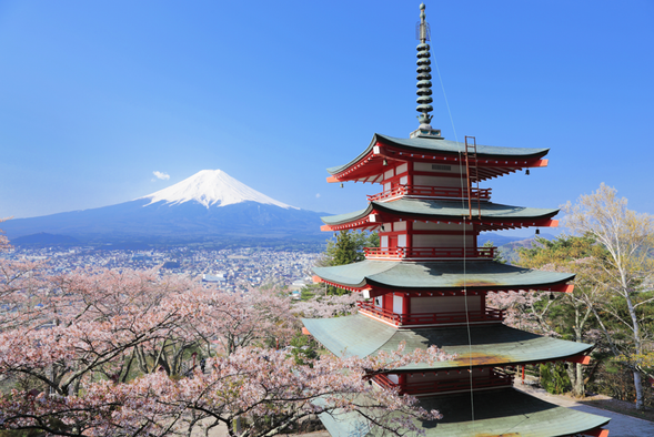 Arakurayama Sengen Park(60min)