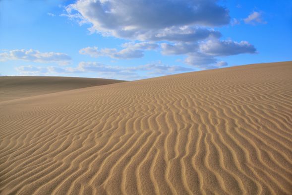 Tottori Sand Dunes(60min)