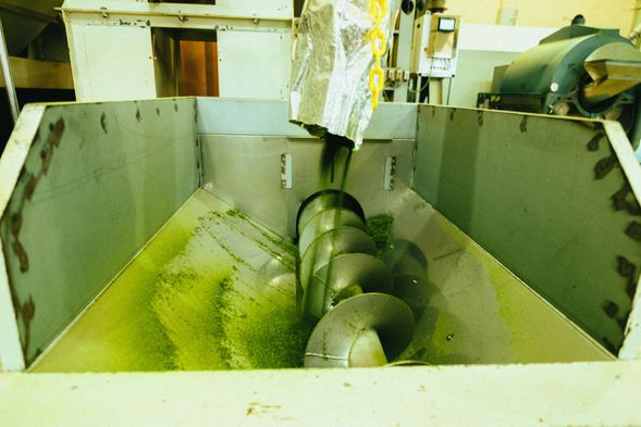 14:00 Yame Tea Factory Visit or Shopping at the Yame Tea Shop only *depend on the period*