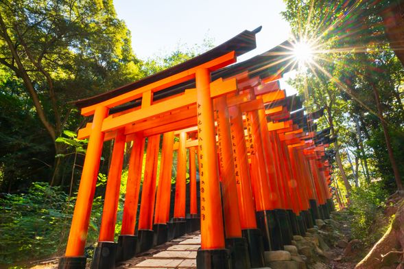 Fushimi Inari Shrine (60 minutes)