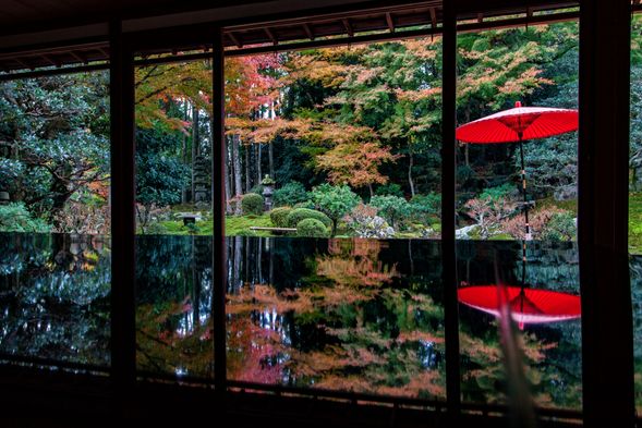 Kyu Chikurin-in (25 min / Admission fee included)