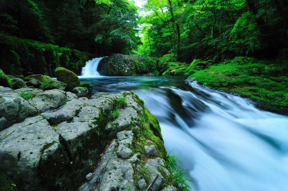 Recommended Places to Visit Near Tamana #2
A Trip to “Kikuchi Gorge,” Known for Its Beautiful Cobalt-Blue Clear Stream