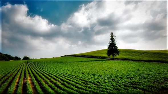 PACHWORK ROAD
-visit only from the bus window without getting off the bus