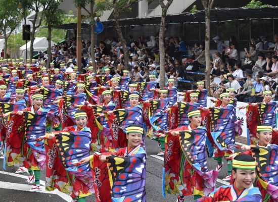 Kochi Yosakoi Festival <Viewing> (Approx. 180 minutes)
★Enjoy the exhilarating Yosakoi Festival from the viewing stands!
