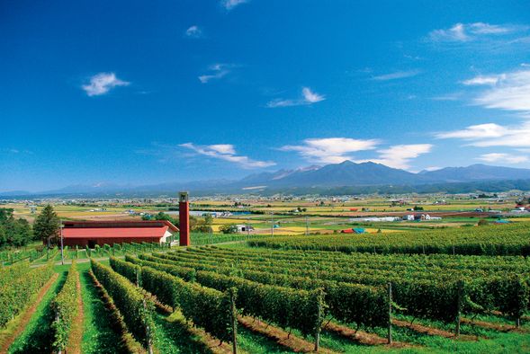 Campana Rokkatei (30 mins)