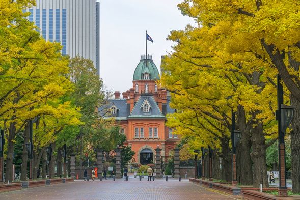 Former Hokkaido Government Office Building(only from car window)