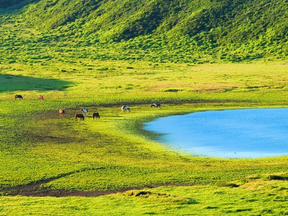 15:00 – 15:30 Kusasenri