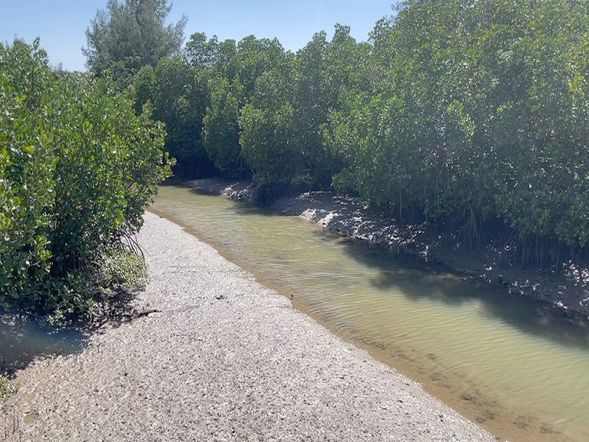 島尻紅樹林公園