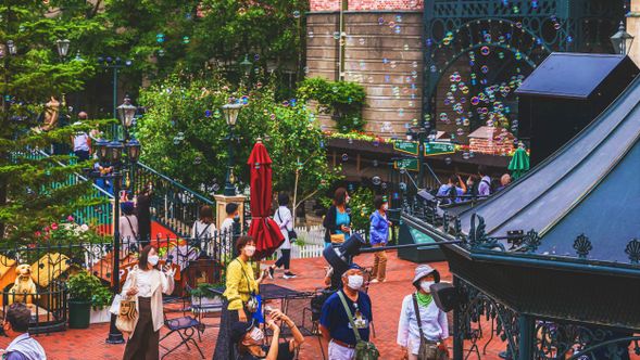 Experience the Fantasy World: The Chocolate Factory Theme Park