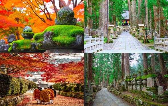 Koyasan Okunoin
(A highly popular expert guide will guide you through Koyasan's two most sacred places, "Okunoin"/about 90 minutes)