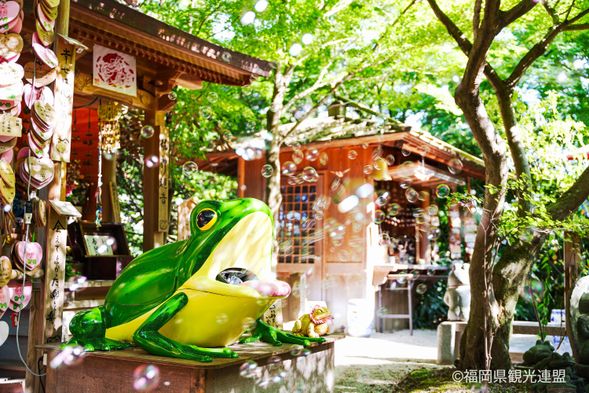 Nyoirinji- Temple (Frog Temple) (60min)