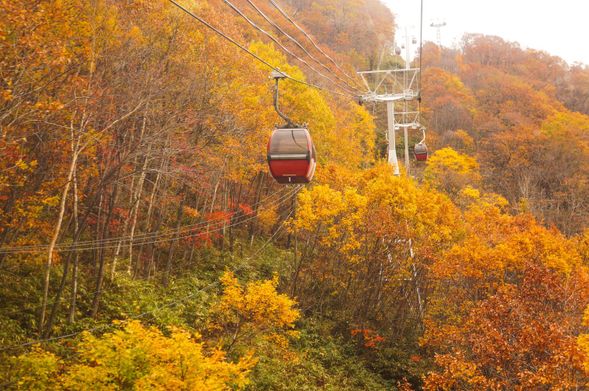 Sapporo Kokusai Ski Resort(80 min)
(Autumn Gondola Round-trip & Free Walk)