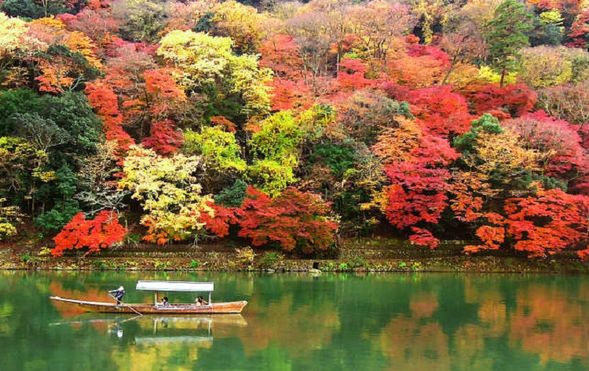 Arashiyama Tsusen
(Enjoy viewing the autumn foliage of Arashiyama from a houseboat / Approx. 30 minutes)