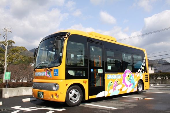 A. Public Transportation