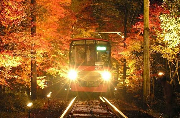 Kifuneguchi Station
↓
<Ride the retro Eizan Railway to see the illuminated autumn foliage from Ninose to Ichihara>
↓
Takaragaike Station