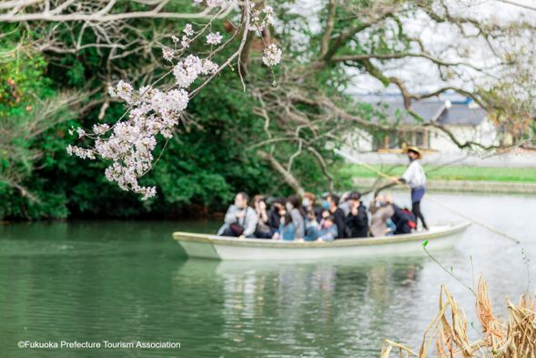 Yanagawa River Cruise Experience (60min)
