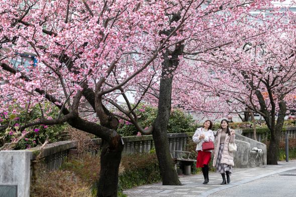 ①12:15 / ②16:15
Itogawa Promenade
(20 minutes free time)