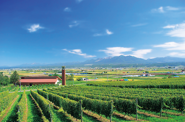 Campana Rokkatei (Shopping & Free Time / Approx. 30 min)