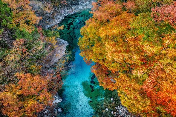 Tsukechi Gorge
(Enjoy the pristine mountain scenery and the stunning contrast between the magical, emerald-blue river and vibrant autumn leaves! / Approx. 60 min)