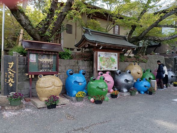 Arrive at Nyoirinji Temple.The tour takes 45 minutes.