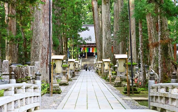 Okunoin, Koyasan World Heritage Site
(A highly-regarded expert guide will take you through Okunoin, one of Koyasan's two major sacred sites / approx. 90 minutes)