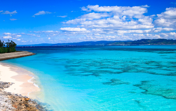 古宇利岛(11:25~11:55)