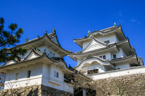 Iga Ueno Castle(Admission fee is included/60min)