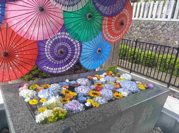 前往金蛇水神社祈求財運(自由參拜)
