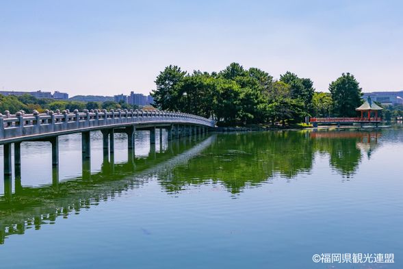 11:30 AM / 3:30 PM - Ohori Park (30 miuntes)