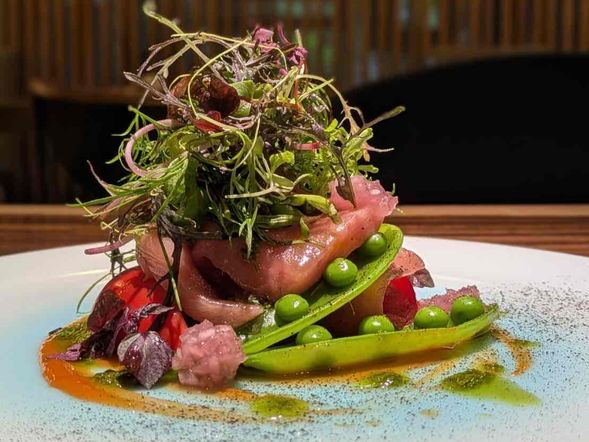 Lunch Onboard – BOTTEGON (Italian Cuisine)
Savor creative Italian dishes crafted with premium ingredients, including exceptional seafood sourced from Sasue Maeda Fish Shop in Yaizu—renowned as one of Japan’s top fish purveyors.