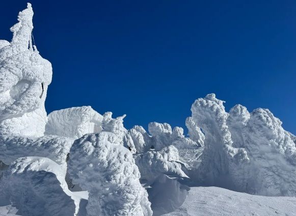 Snow Monster Walk (60 mins)
For 30-min wait time: 10:30 AM – 11:30 AM
For 60-min wait time: 11:00 AM – 12:00 PM
For 90-min wait time: 11:30 AM – 12:30 PM
For 120-min wait time: 12:00 PM – 1:00 PM
For 150-min wait time: 12:30 PM – 1:30 PM