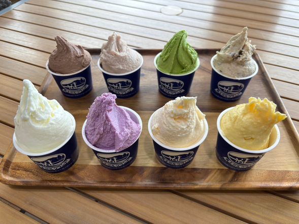 Asagiri Highlands Fuji Milk Land
(The view of Mount Fuji up close is breathtaking!/approx. 40 min)
★Includes a special benefit: a gelato made with milk from the local Asagiri Highlands