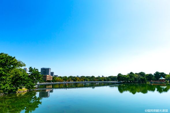 9:00/13:30 Meet at Ohori Park Station and take a walk in the pak