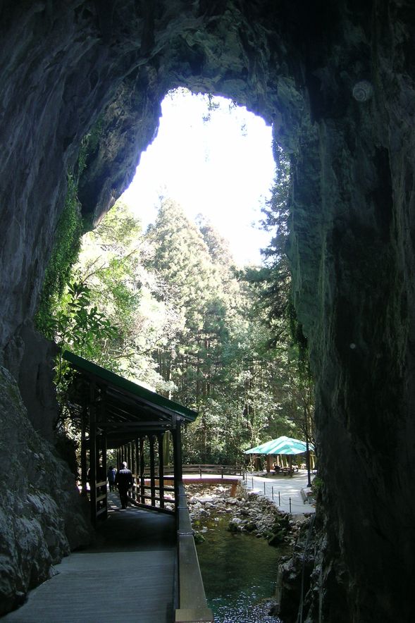Exploring Akiyoshido Cave (Duration: approx. 60 min.)