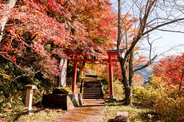 Hanagatami Park
(Explore Fukui’s famous scenic spot adorned with about 1,500 maple trees, accompanied by a local guide! / Approx. 40 mins)