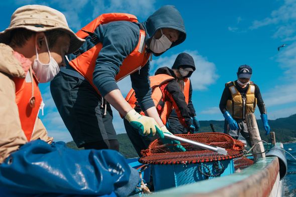 Fishing Experience
(Momonoura Port)