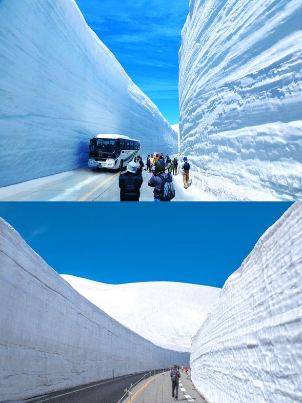 ทางด่วนทาเทยามะ
★เราจะขึ้นเขาทาเทยามะด้วยรถทัวร์!
↓
เส้นทางภูเขาทาเทยามะ-คุโรเบะ / สถานีปลายทางมูโรโดะ (มีเวลาว่างสำหรับชมวิว / ประมาณ 100 นาที)
★★โปรดชมกำแพงหิมะด้วยตนเอง★★
※ การเข้าถึงถนนพาโนรามาจะเปิดให้บริการตั้งแต่วันที่ 15 เมษายน 2568 ถึง 6 พฤษภาคม 2568
↓
ทางด่วนทาเทยามะ