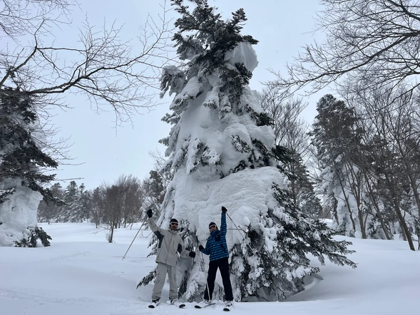 Alternative Tour if the Ropeway is Suspended:
"Hands-Free" Hakkoda Heavy Snow Snowshoe Tour