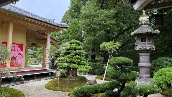 Let's look around Seiryuji Temple