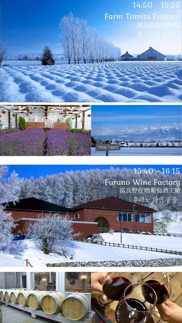 W3-1, W3-2
Farm Tomita
W3-1, W3-2
Furano Wine Factory